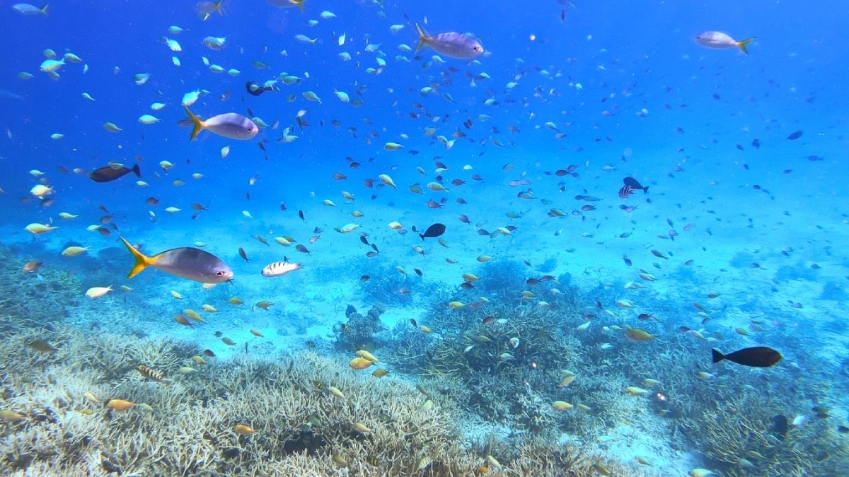 La belleza de las aguas de Micronesia