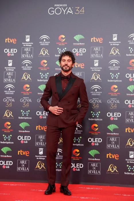 GALA ENTREGA PREMIOS GOYA 2020