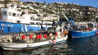 Les confraries gironines veuen amb preocupació la reducció dels dies de pesca i diuen que posa el sector «al límit»