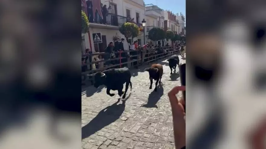 VÍDEO | Así han sido los encierros de La Puebla del Río