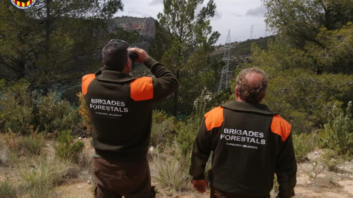 Dos efectivos de las brigadas forestales vigilan una senda en una foto de archivo.