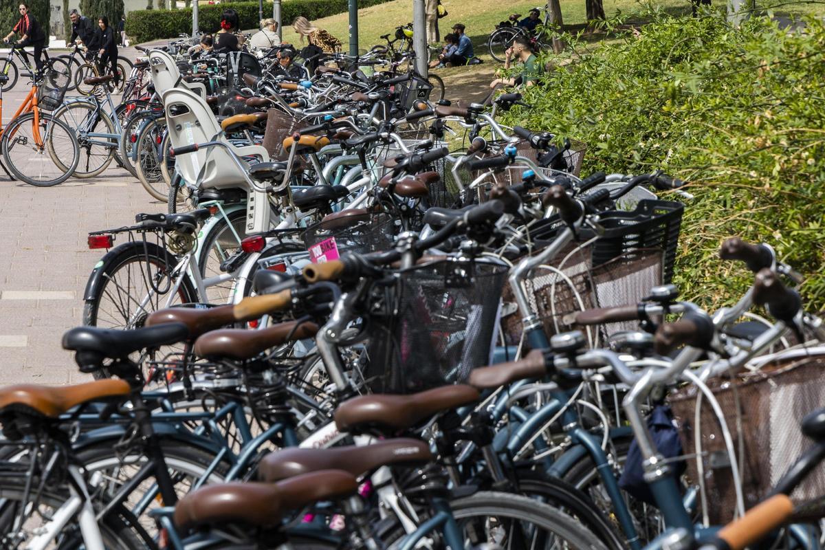 Llenazo de bicis en el Jardín del Túria de València, a la altura de la Ciudad de las Ciencias.