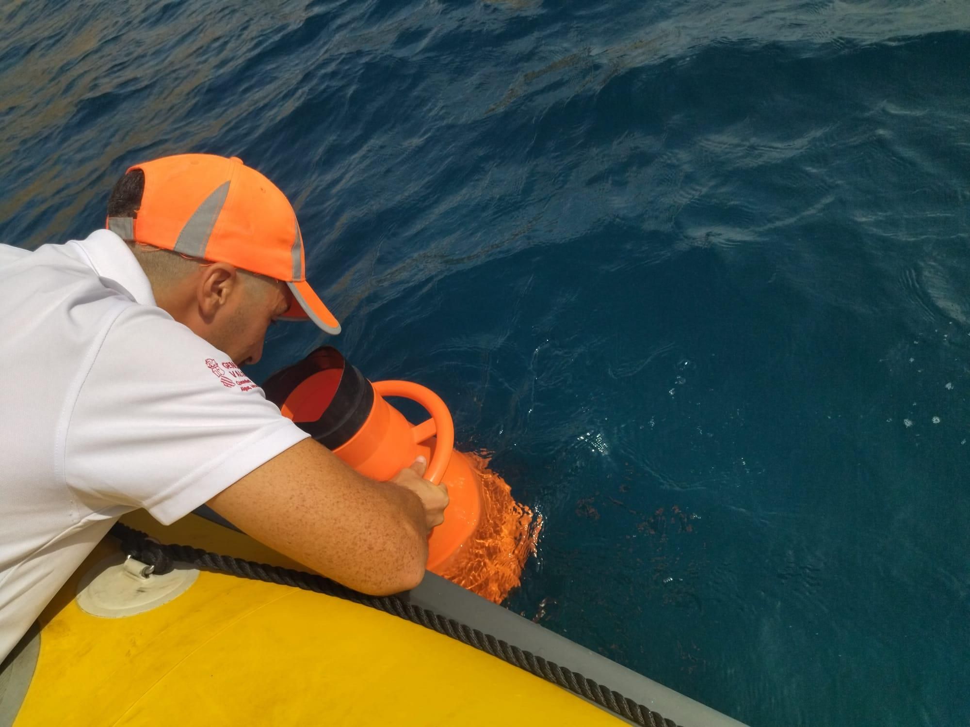 Embarcados con los guardianes de la Posidonia oceánica (imágenes)