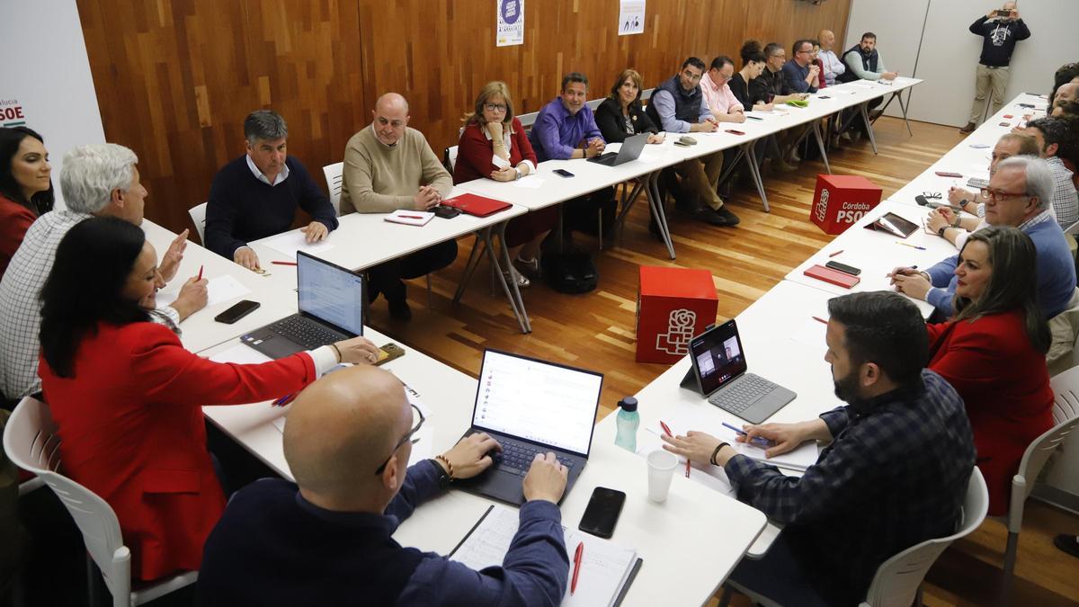 Reunión de la ejecutiva provincial socialista, en una imagen reciente.