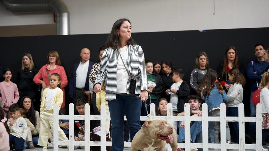 Badajoz se rinde al encanto perruno en la Exposición Internacional Canina