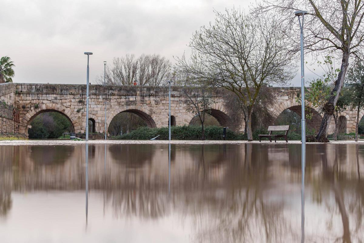 Fotogalería | Así se encuentra este viernes la isla de Mérida tras la subida que ha experimentado el caudal del Guadiana