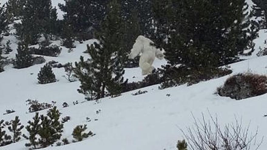 El suposat yeti avistat a l&#039;estació d&#039;esquí de Formigal.