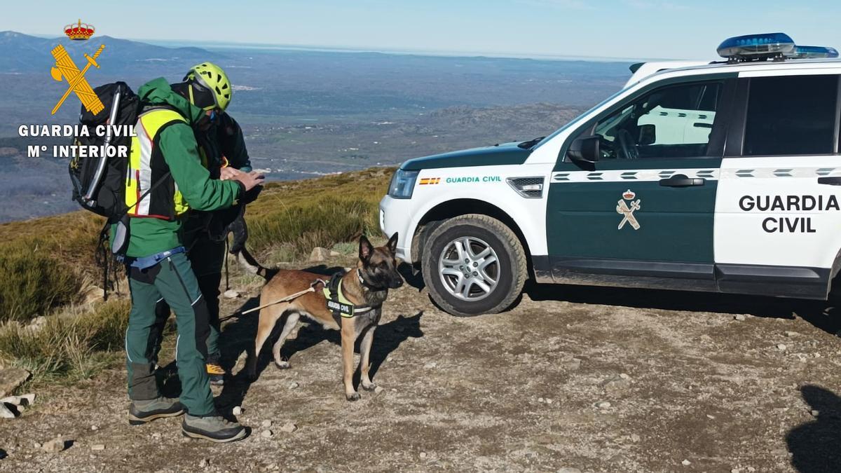 Dispositivo de la Guardia Civil en la Sierra de Bejar a comienzos del mes de enero.