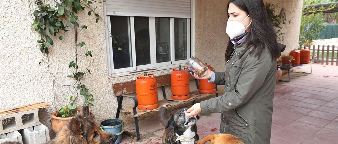 Isabel Navamuel, que lleva en ERTE desde marzo del año pasado, en su casa, con sus animales, la pasión en la que ha volcado sus energías a la espera de recuperar la normalidad.  ANTONIO AMORÓS