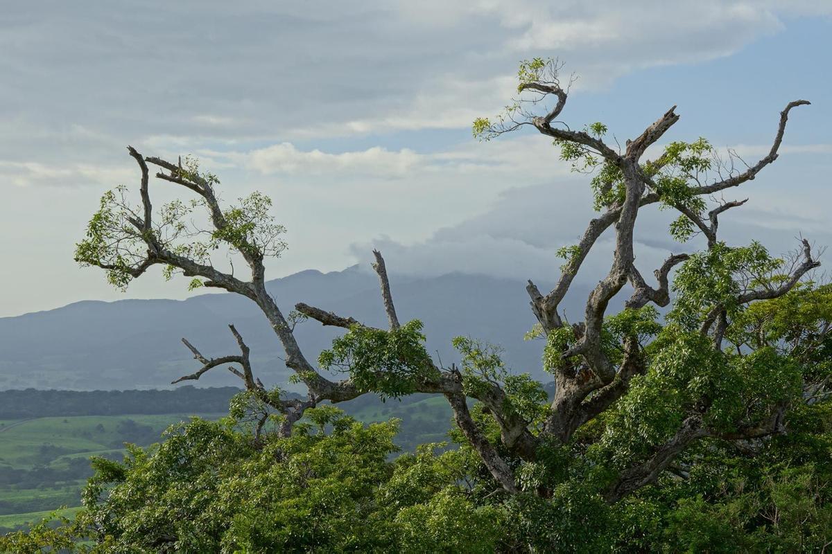 Rincón de la Vieja