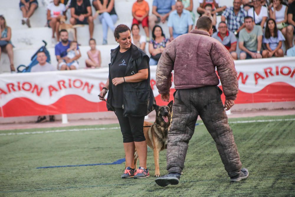 Carrera de burros y asnos y exhibición canina en D