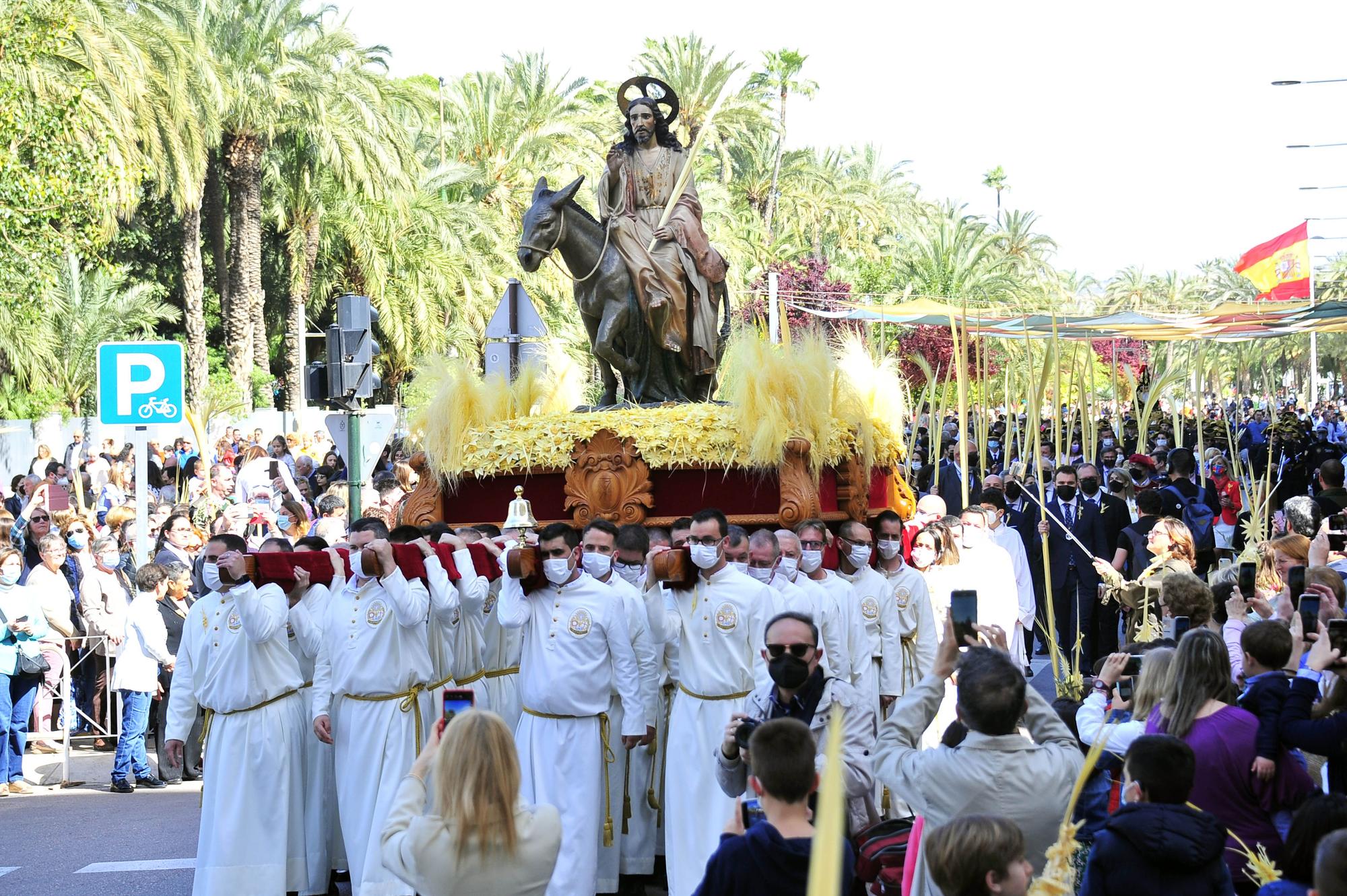 Domingo de Ramos en Elche