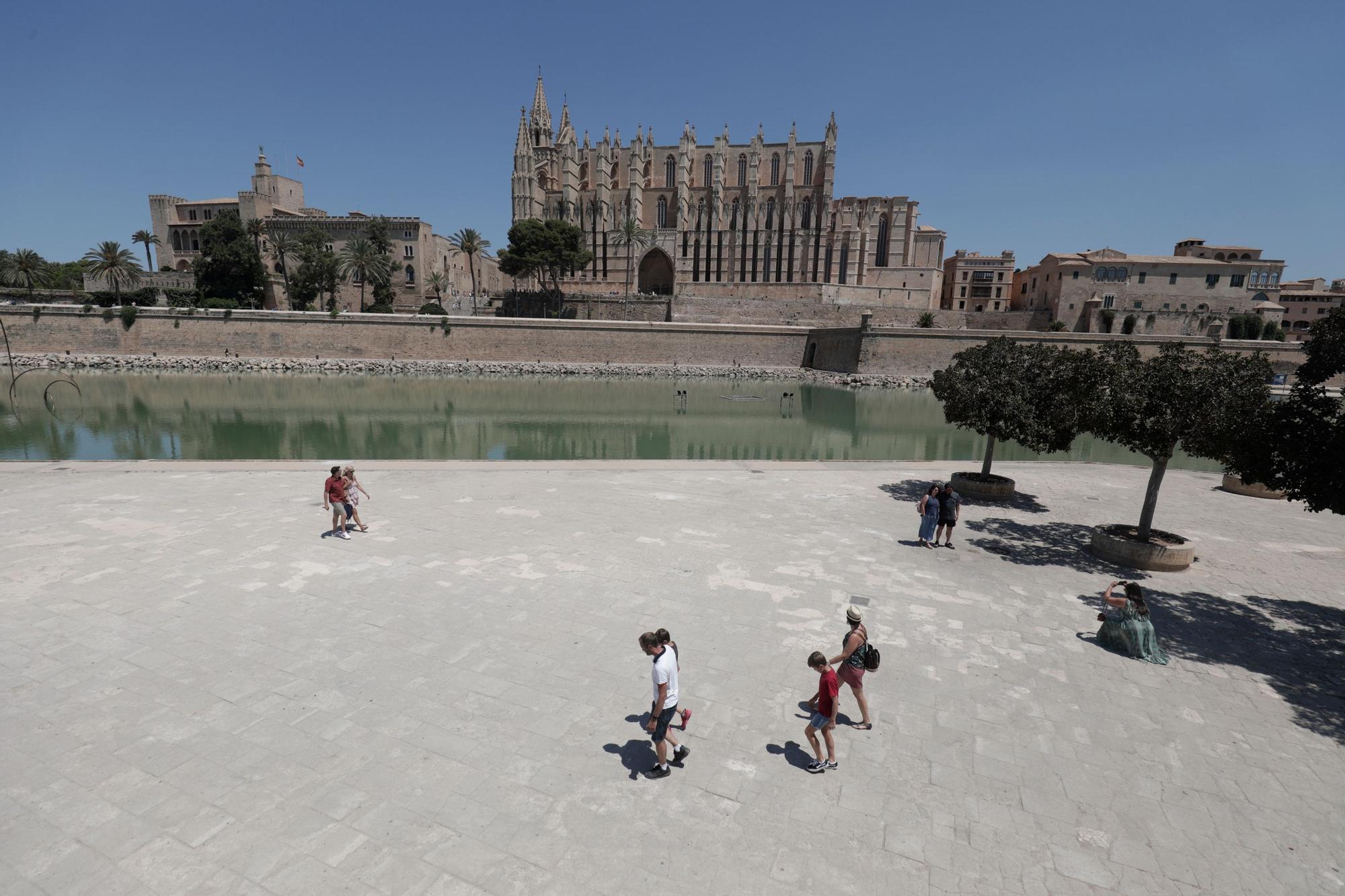 Las obras en el Parc de la Mar permitirán renovar hasta 3.900 metros cuadrados de pavimento.