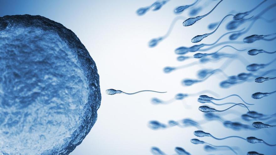 Un estudio detecta compuestos químicos en el semen humano que pueden afectar a la salud reproductiva