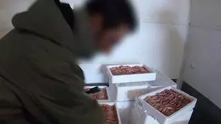 La inspección alimentaria en Asturias es "muy deficiente", denuncian los veterinarios,