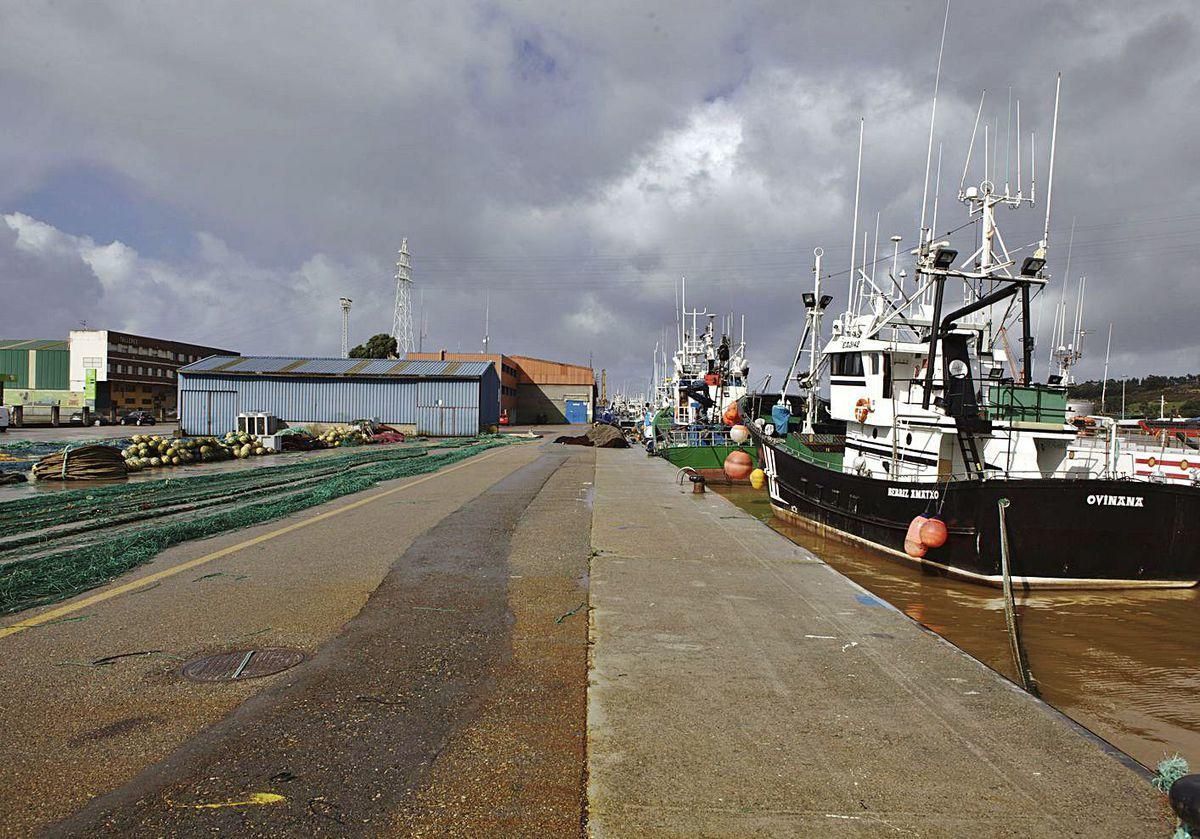 Tres avilesinos impulsan un centro de formación de buceo en el muelle pesquero