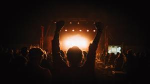 Ambiente durante un concierto pasado en el Festival Brizna de Ayerbe