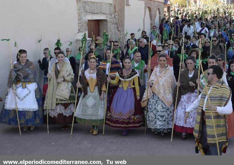 GALERÍA DE FOTOS - Romería Magdalena 2014 (5)