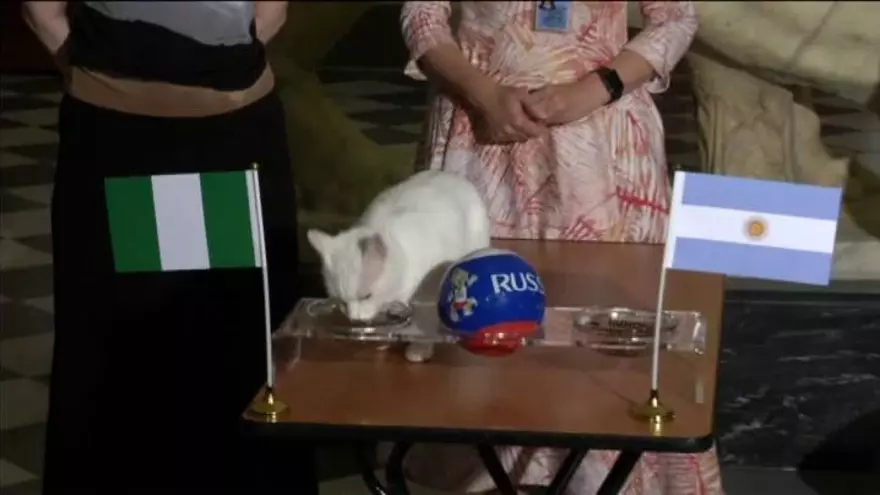 Argentina, eliminada del Mundial según el gato Aquiles