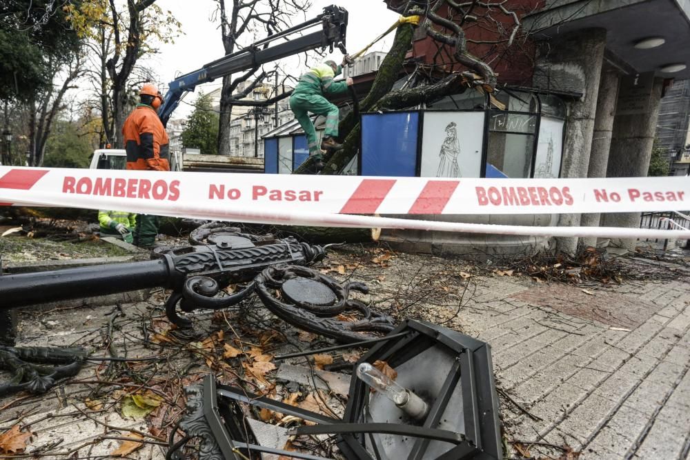 Destrozos en El Escorialín