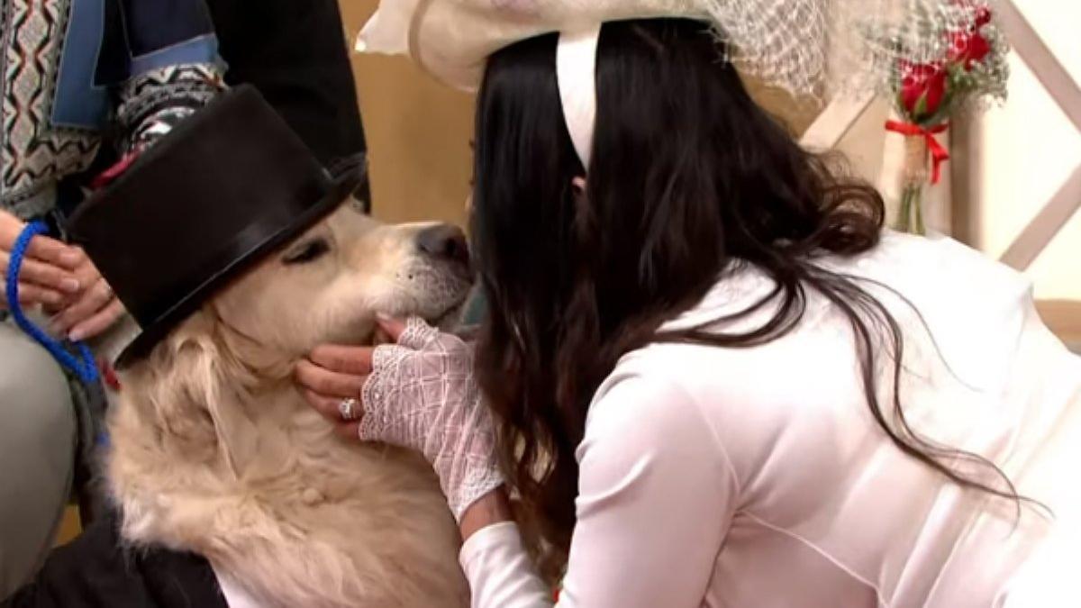 La exmodelo Elizabeth Hoad y su perro, Logan, durante su boda en directo en 'This Morning'.