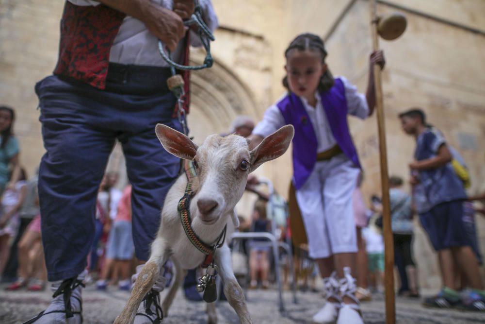 Subida del Farolico de Venancio en Callosa de Segu