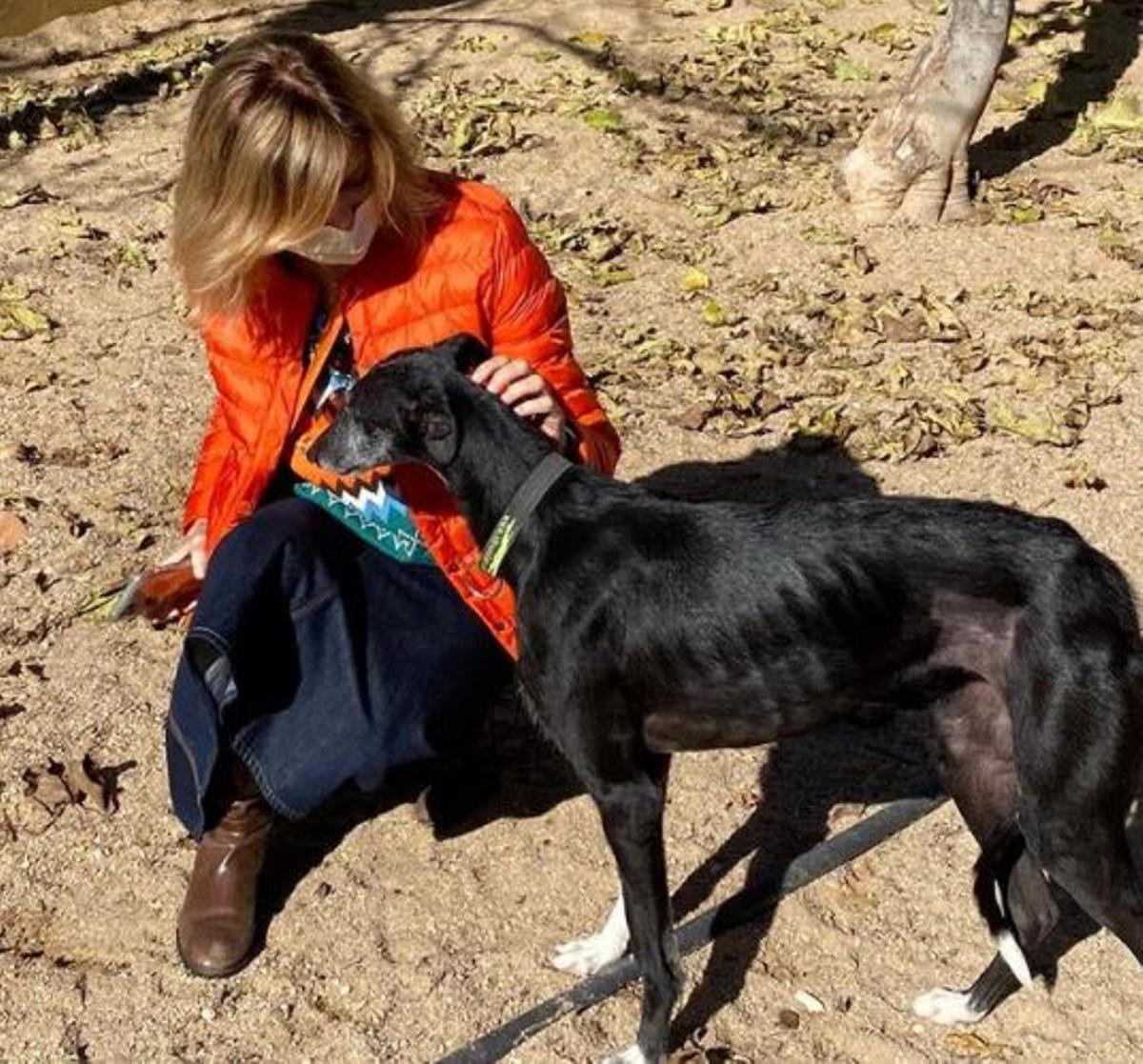 Susanna Griso sigue con su vida ante la angustiosa espera de que aparezca su perrita
