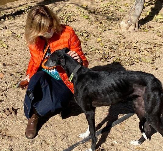 Susanna Griso sigue con su vida ante la angustiosa espera de que aparezca su perrita