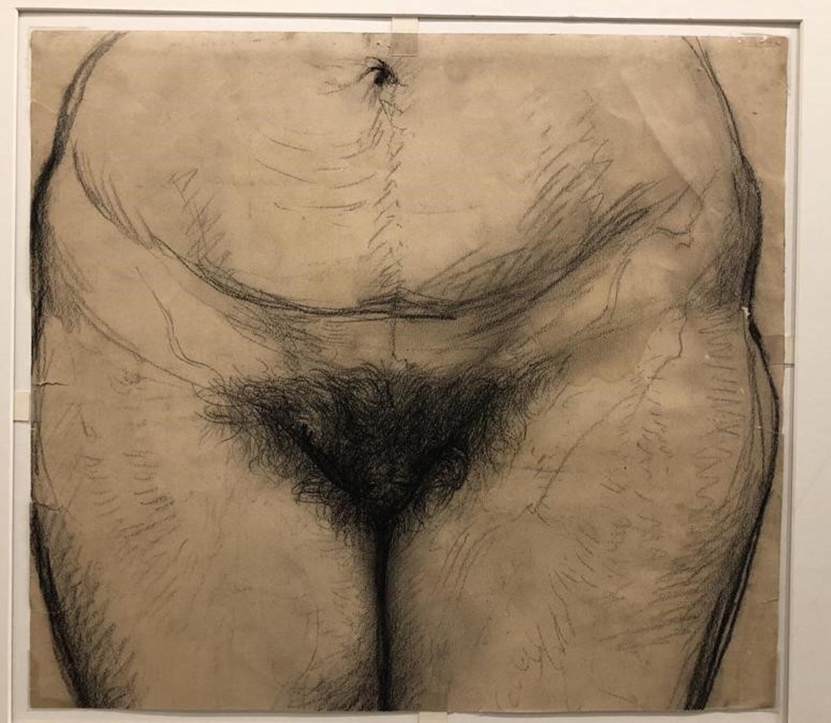 Dibujo a carboncillo de Ramon Martí Alsina, titulado 'Pubis femenino'.