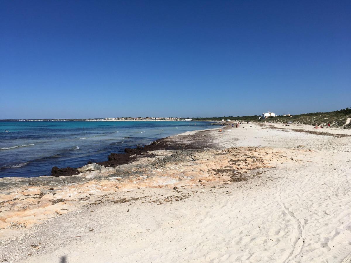 Vista del arenal de la playa de es Trenc