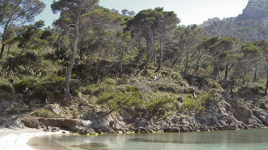 Das Cap del Pinar bei Alcúdia.