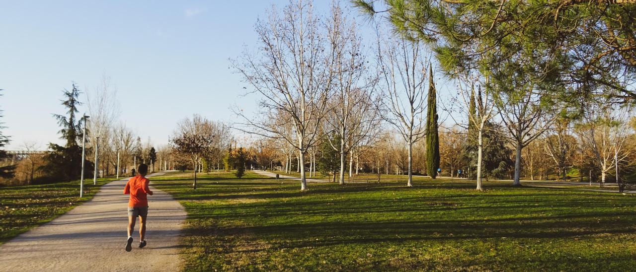 Jardines del Guadiana en la zona de El Barrio.