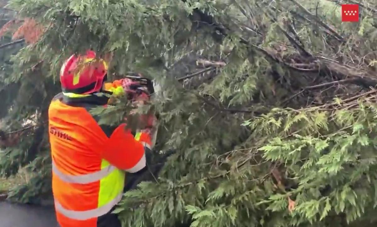 Un Bombero de la Comunidad de Madrid trabaja en la retirada de un árbol caído.