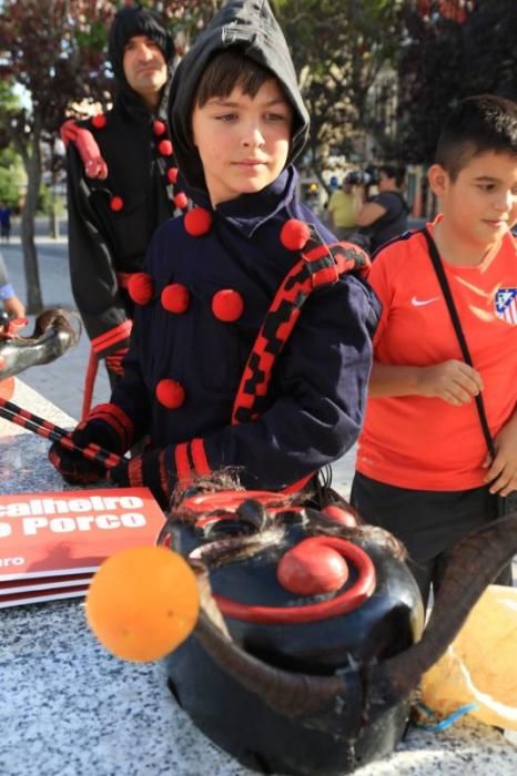 Desfile de mascaradas en Zamora