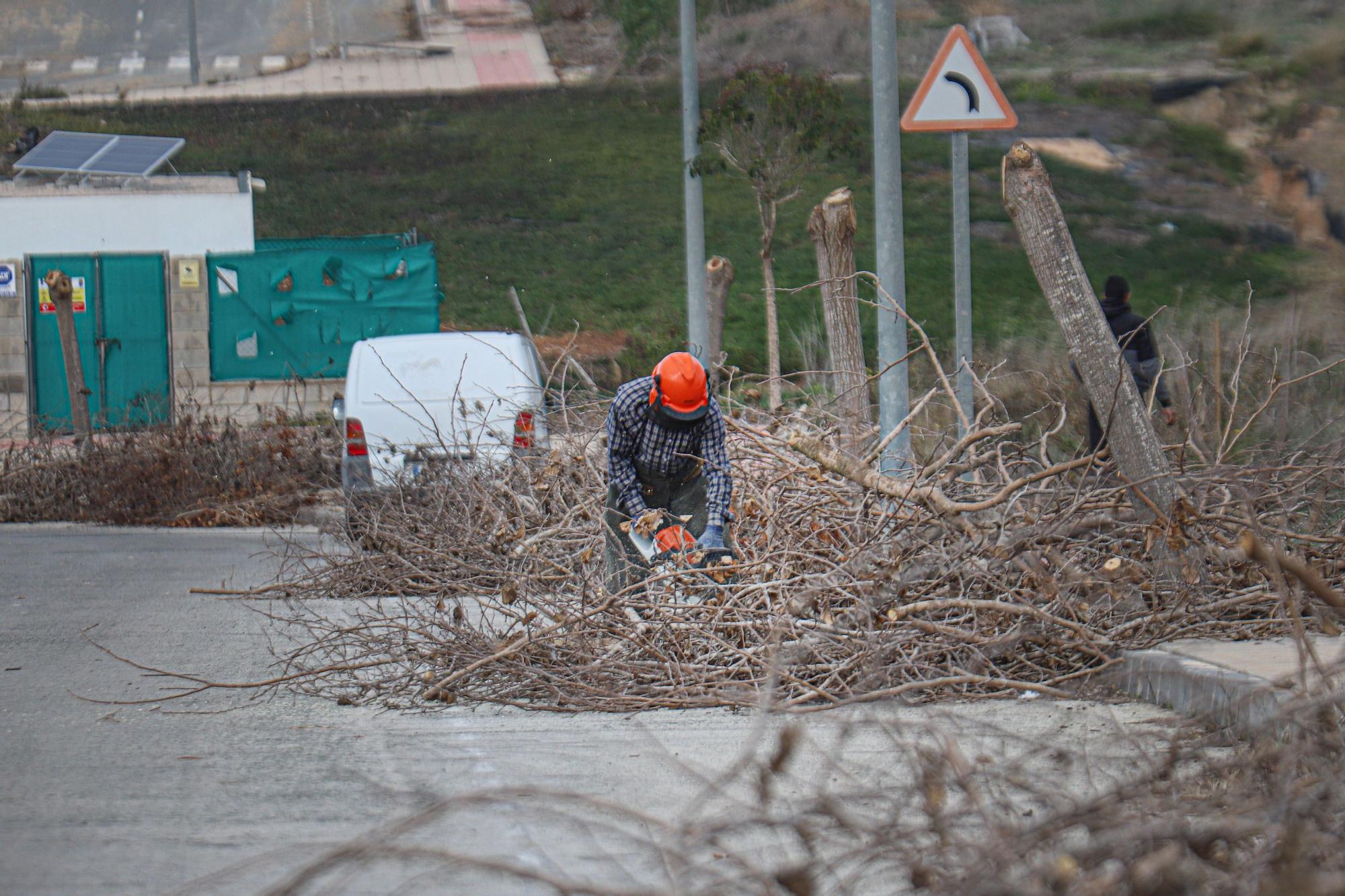 Trabajos de limpieza en la urbanización de Los Invernaderos en San Miguel de Salinas