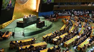 Palestina, el simbòlic reconeixement d’un Estat que en realitat no existeix