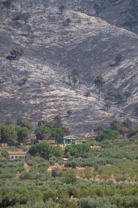 Así ha quedado la zona del incendio de Beneixama