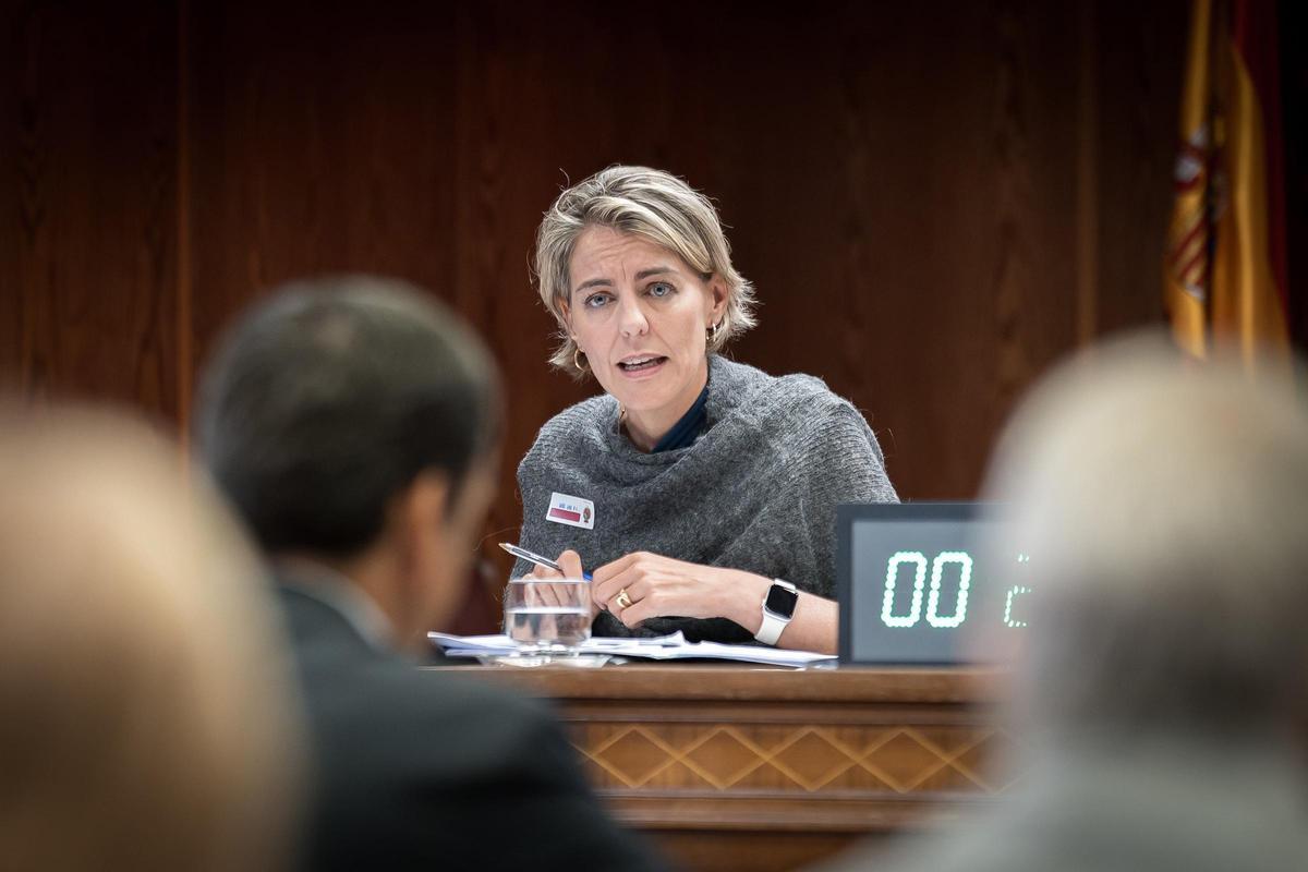 La directora de Regulación de la Asociación de Empresas de Energía Eléctrica (AELEC), Marta Castro Pérez-Chirinos, comparece ante la Comisión de Investigación sobre la interrupción del suministro eléctrico y de las comunicaciones el 28 de abril de 2025, e