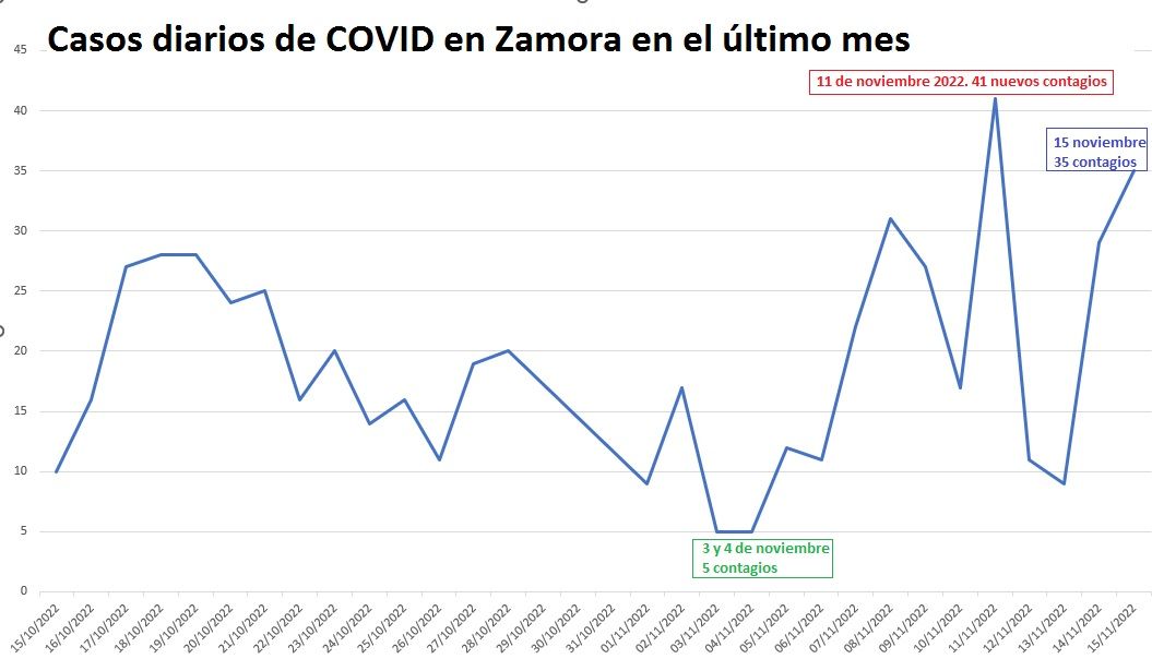 Evolución de los casos diarios del coronavirus en Zamora