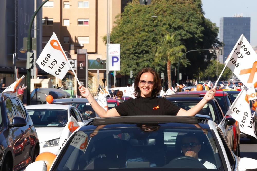 Miles de murcianos protestan en las calles contra la ley Celaá