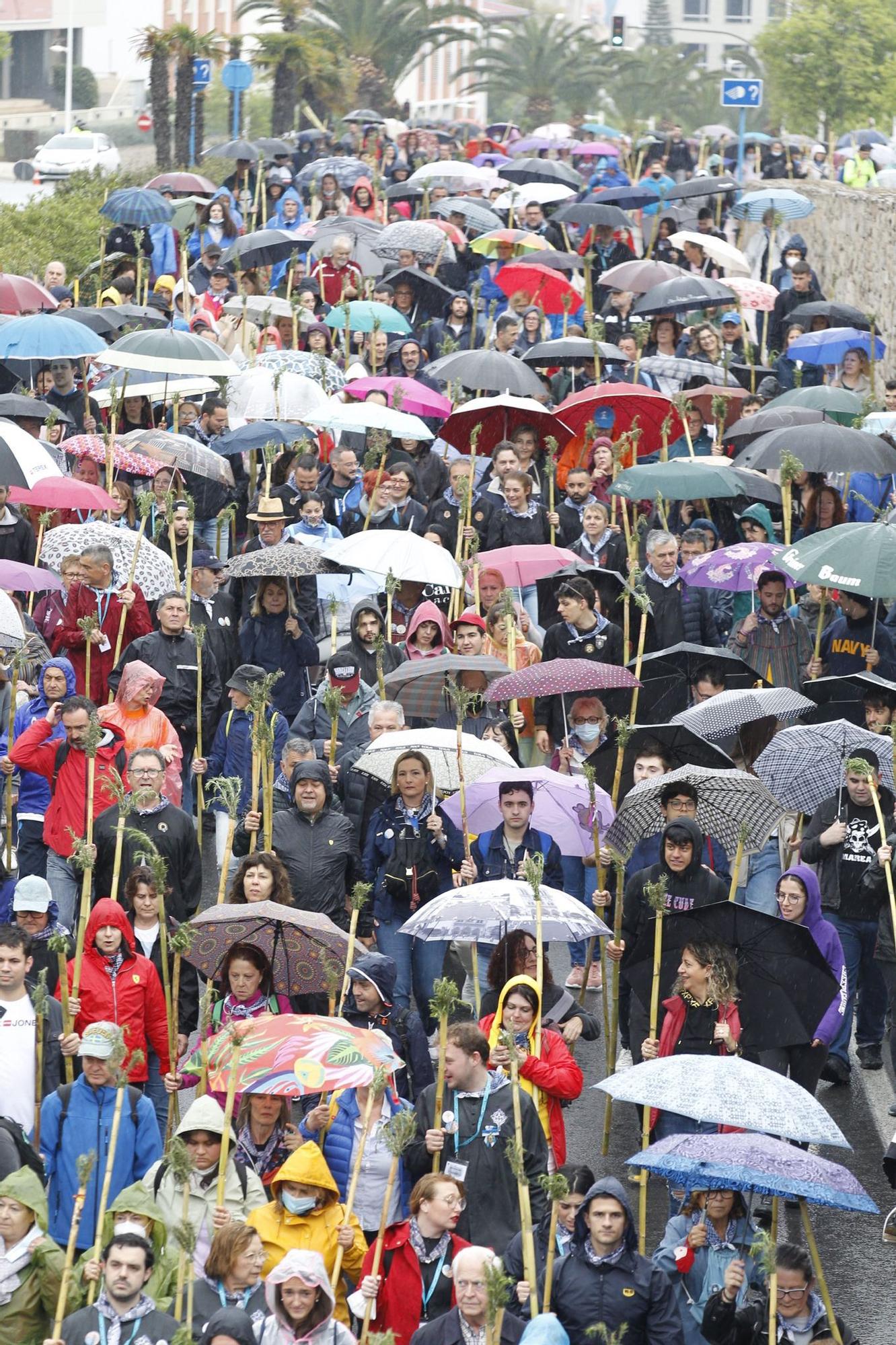 Miles de alicantinos acompañan a la Santa Faz en su peregrinación pese a la lluvia