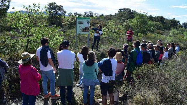 Visita a les vinyes del Mas Llunes.