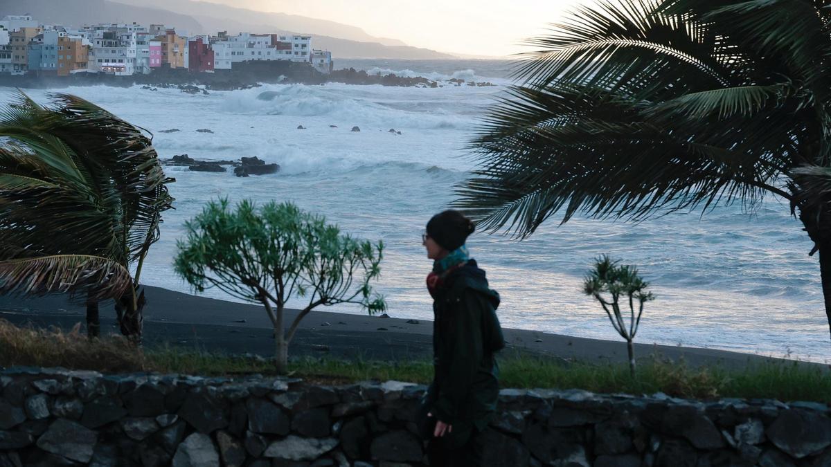 Estado del mar en Puerto de la Cruz.