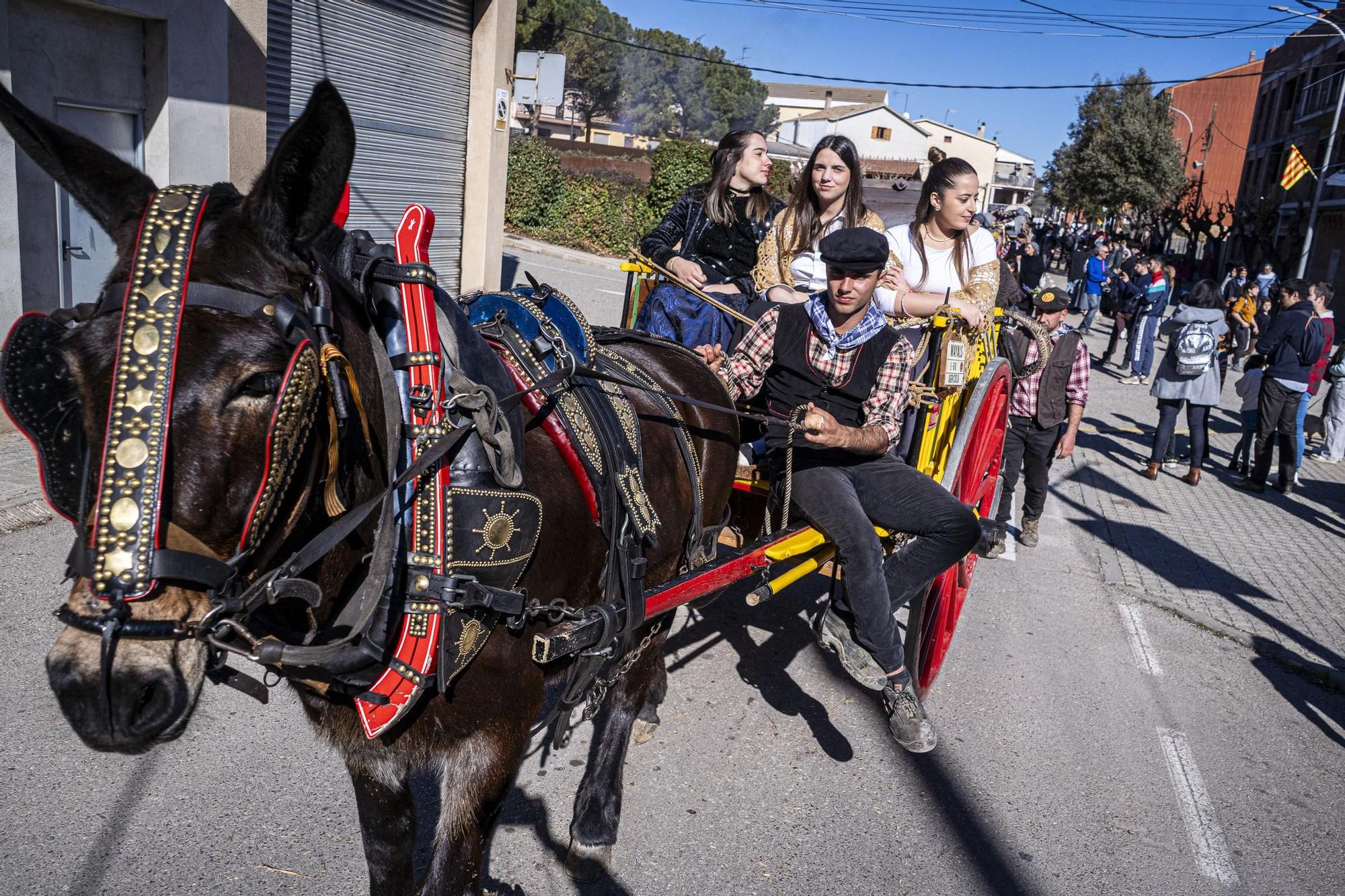 Troba't a les imatges de la Festa dels Traginers 2024