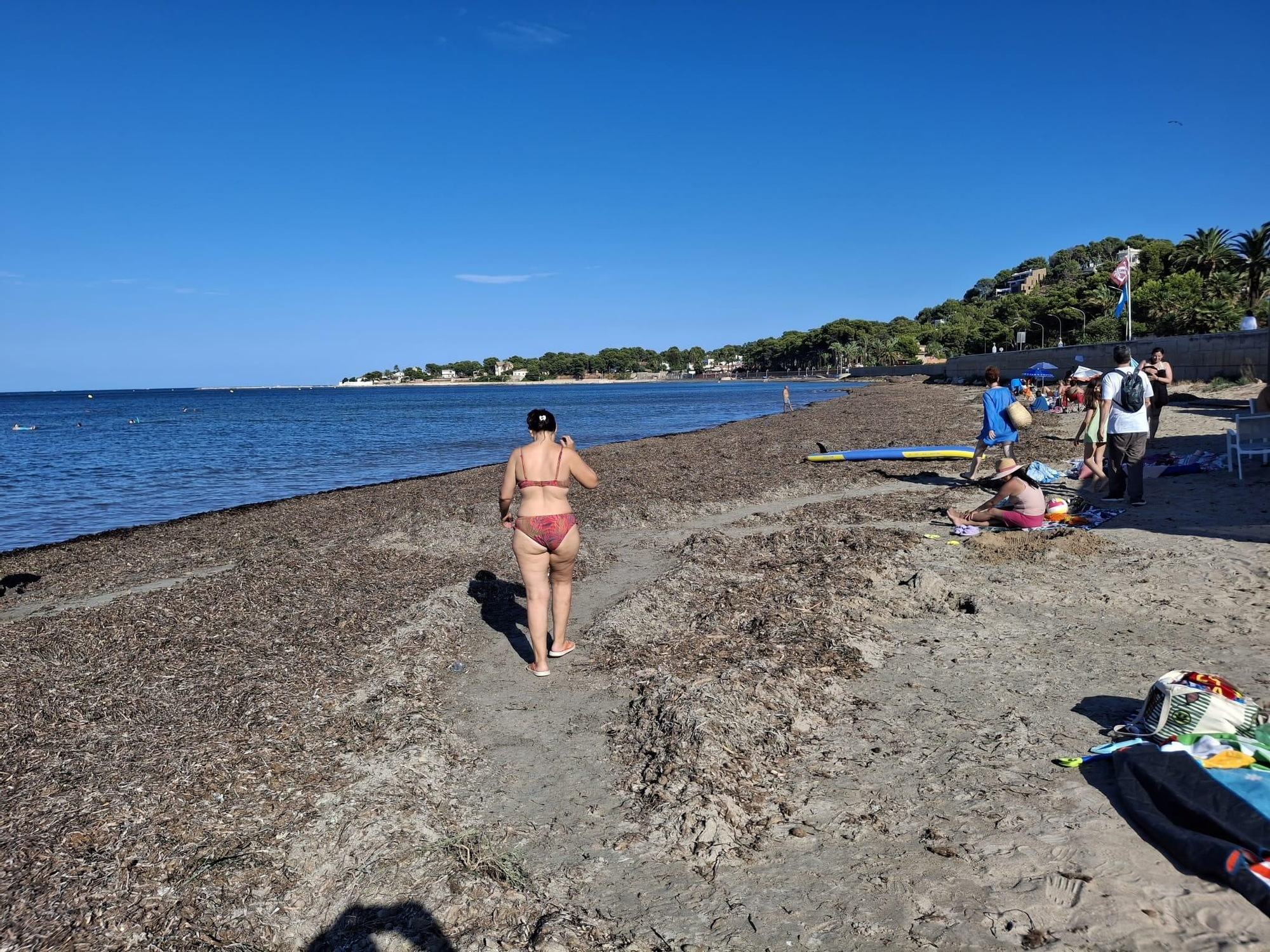 ¡Esto es vida!: manto de posidonia, aguas cristalinas y paz absoluta en la Marineta Cassiana de Dénia