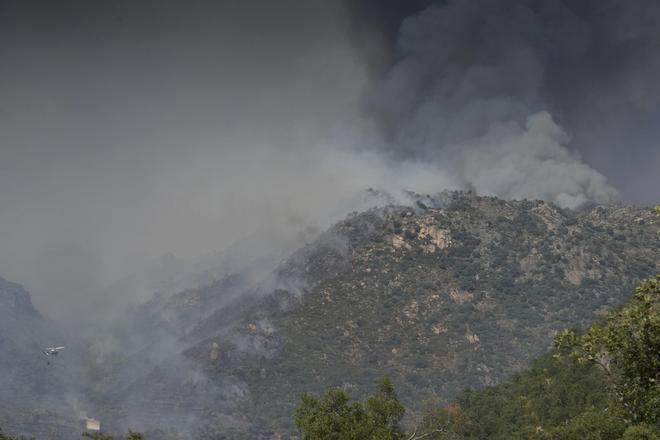 GALERÍA | Negro y humo: el desolador paisaje que deja el incendio de Fermoselle en el corazón de los Arribes del Duero