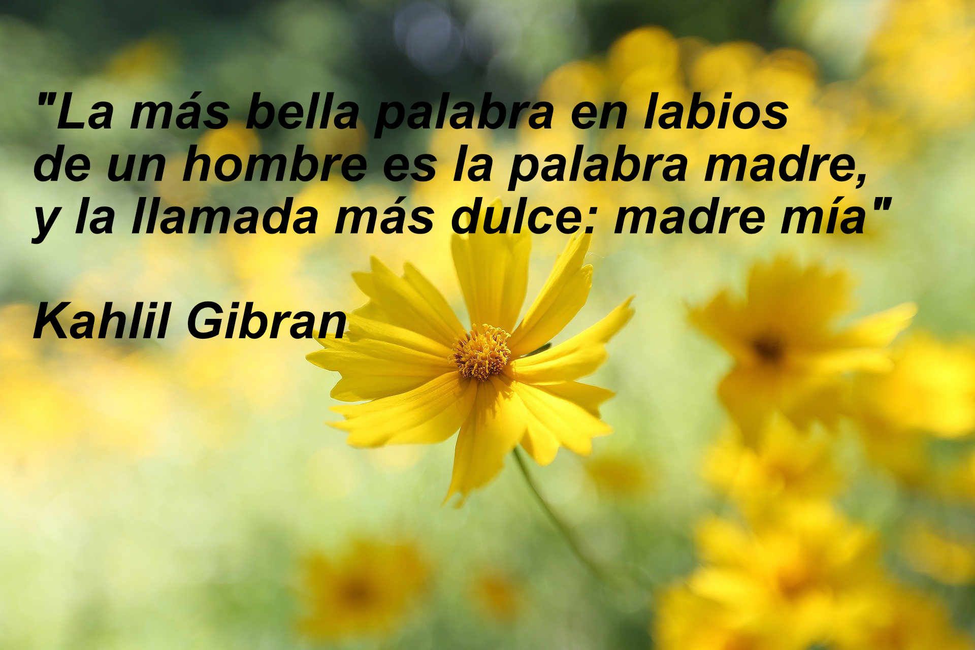 frases-dia-madre-11.jpg