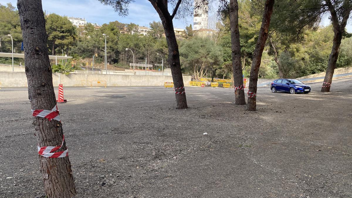 El parking de Marivent fue abierto por Cort el 24 de febrero para paliar la falta de aparcamientos en el Paseo Marítimo