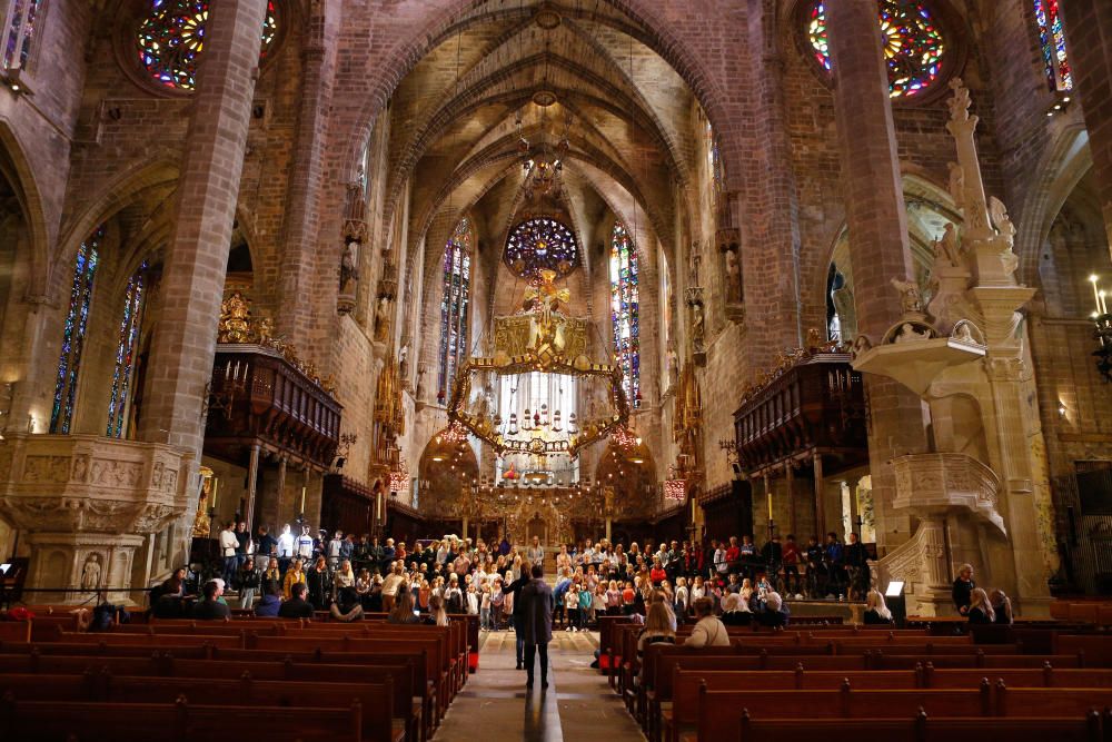 Ensayo general del concierto de Santa Lucía en la Catedral