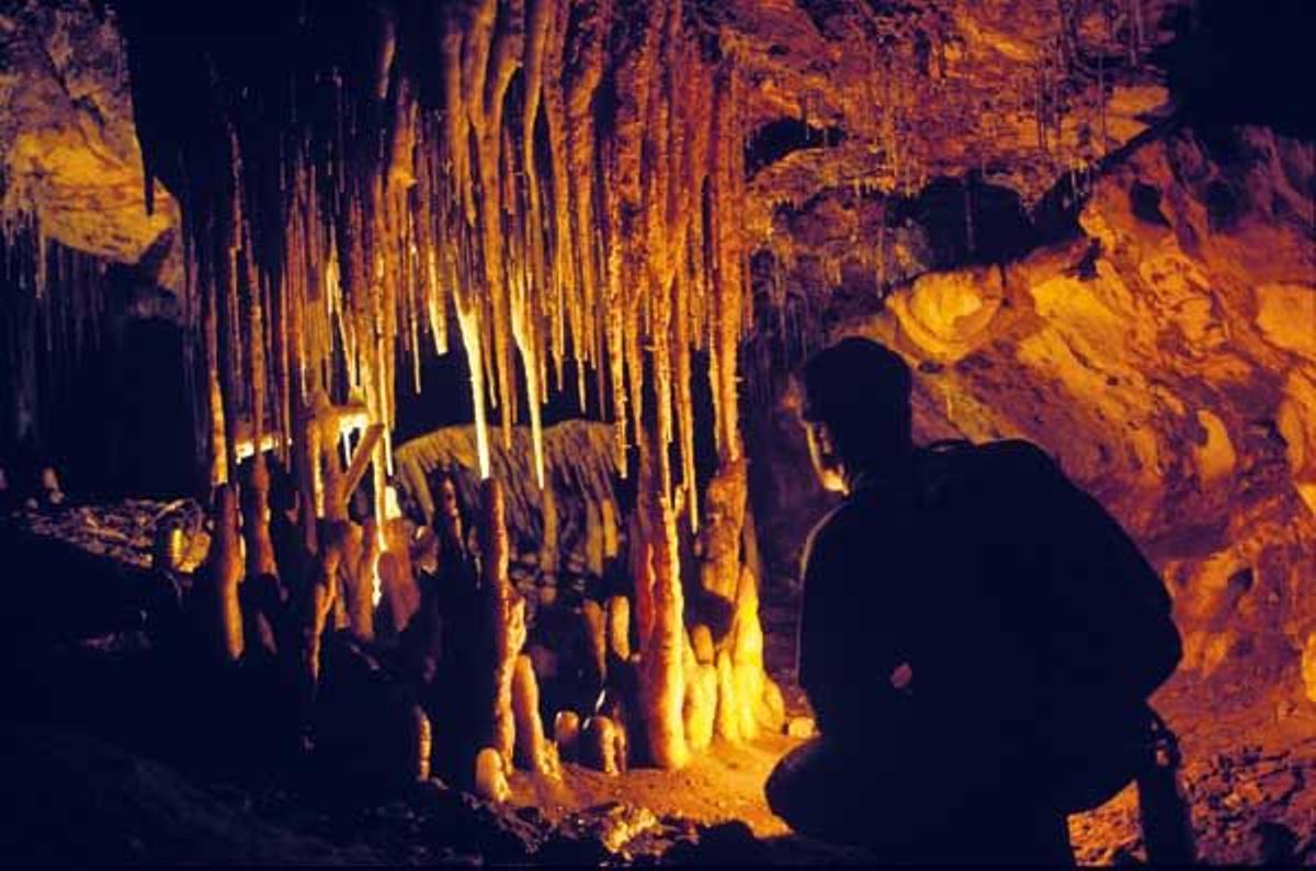 Interior de Cueva Huerta, gruta de quince kilómetros de longitud que alberga la mayor colonia regional de hibernación del murciélago de cueva.